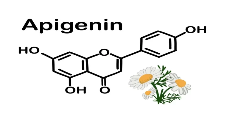 Apigenin - Bí mật tự nhiên giúp ngủ ngon, khỏe mạnh