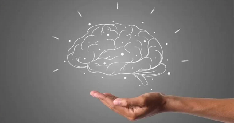 Chức năng nhận thức là gì? Dấu hiệu suy giảm và cách não bộ xử lý thông tin