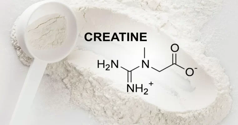 Creatine có tác dụng gì? Lợi ích toàn diện cho cơ thể và não bộ