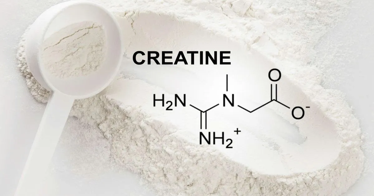 Creatine có tác dụng gì? Lợi ích toàn diện cho cơ thể và não bộ