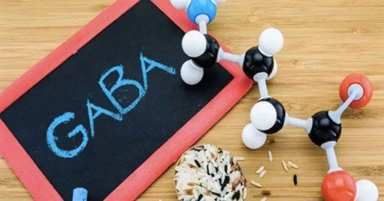Gamma aminobutyric acid là gì? Tác dụng và bí quyết bổ sung