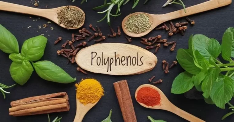 Polyphenol có tác dụng gì với hệ nội tiết? Giải pháp trẻ lâu tự nhiên