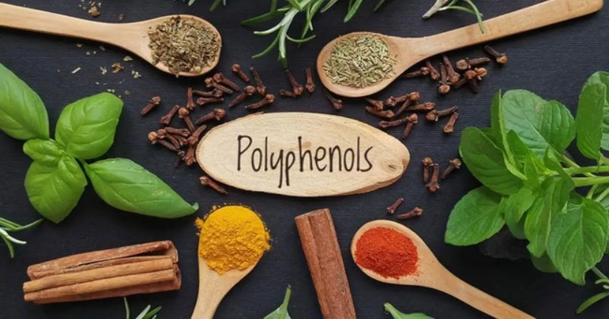 Polyphenol có tác dụng gì với hệ nội tiết? Giải pháp trẻ lâu tự nhiên