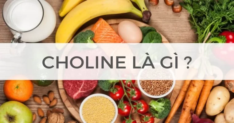 Tác dụng của choline trong việc tăng trí nhớ, giảm căng thẳng