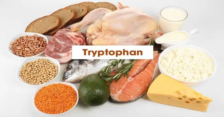 Tryptophan là chất gì? Bản chất sinh học và bí mật cho não khỏe