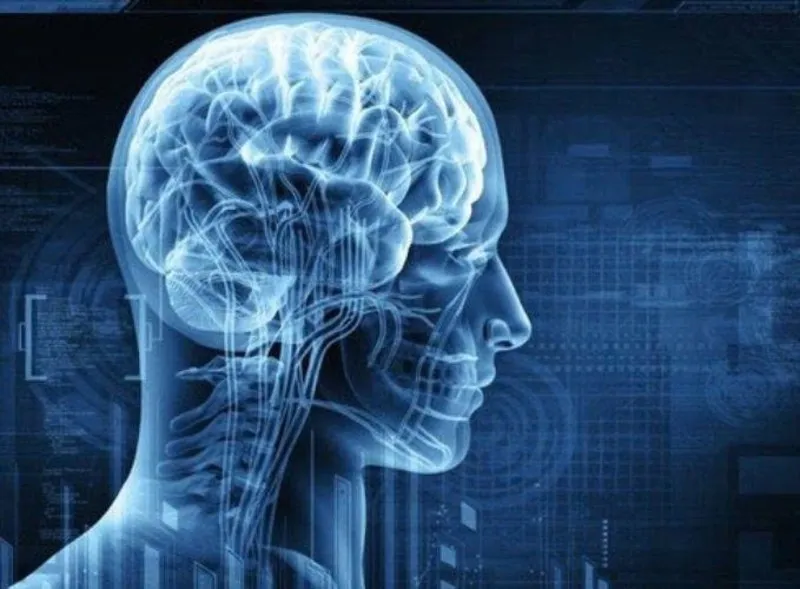 Tyrosine giúp hỗ trợ và cải thiện chức năng não bộ (Ảnh: Sưu tầm internet)