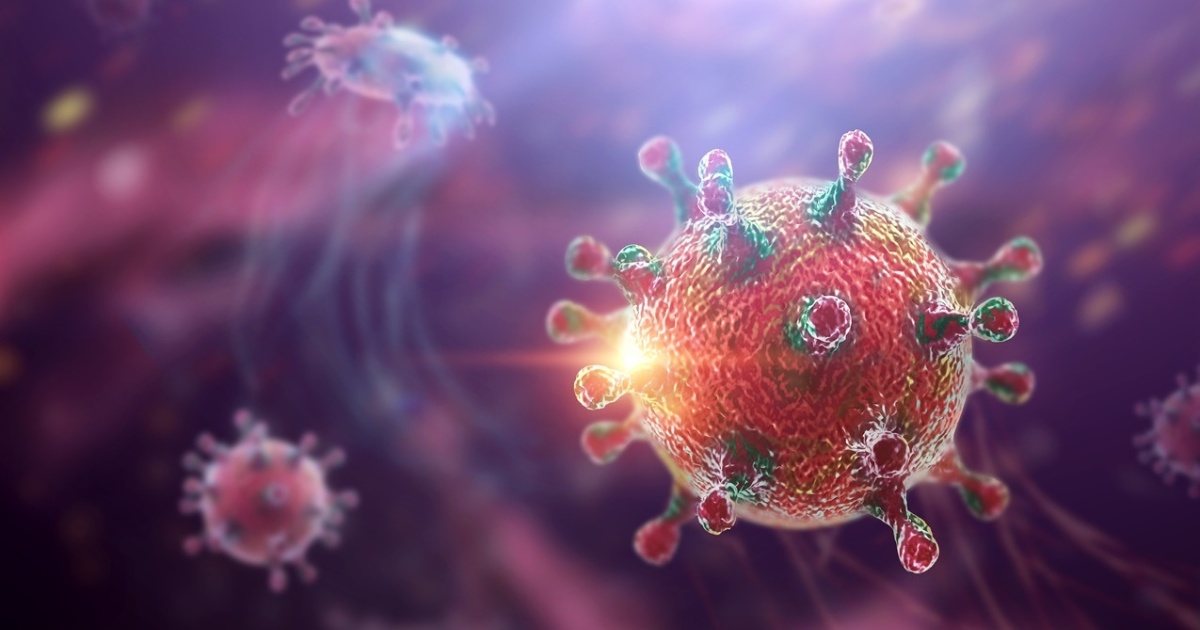 Tin mới nhất về Virus Hanta và hướng dẫn phòng bệnh hiệu quả