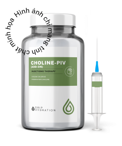 Gói tiêm Choline-PIV hỗ trợ chuyển hóa lipid, chức năng gan sinh lý và hoạt động thần kinh (Add - on)