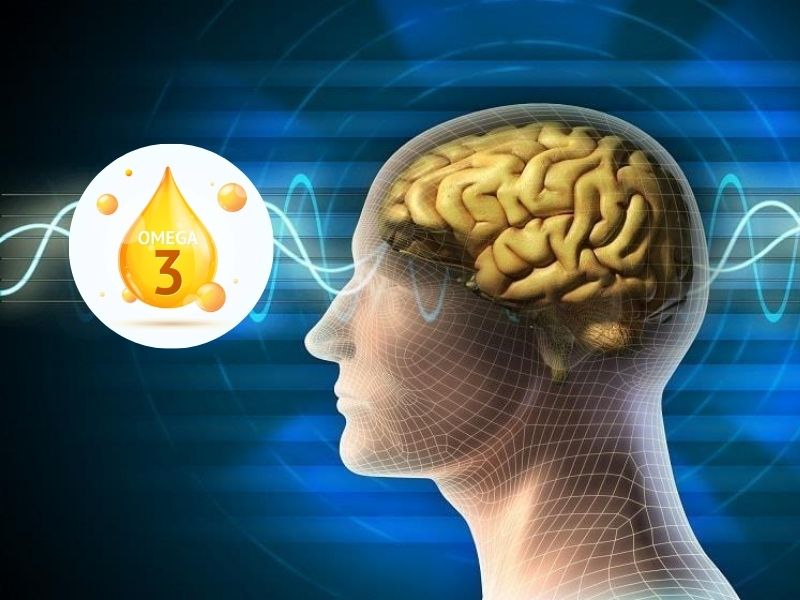 Bổ sung Omega-3 hỗ trợ hoạt động của não bộ (Nguồn: Internet)
