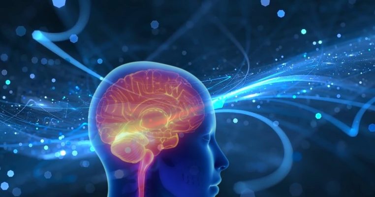 Vai trò của B12 đối với bệnh thần kinh ngoại biên: Phòng ngừa, điều trị và phục hồi dây thần kinh